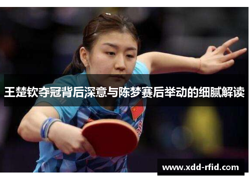 王楚钦夺冠背后深意与陈梦赛后举动的细腻解读 王楚钦夺冠背后深意与陈梦赛后举动的细腻解读