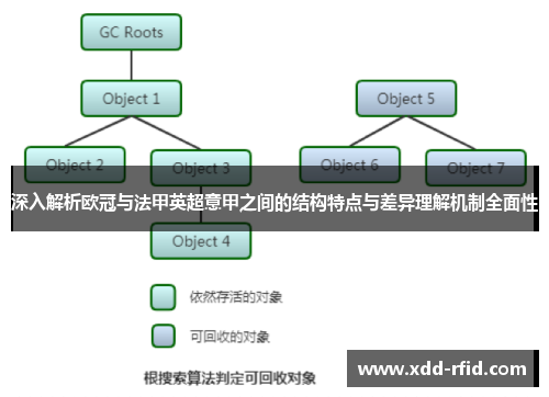 深入解析欧冠与法甲英超意甲之间的结构特点与差异理解机制全面性