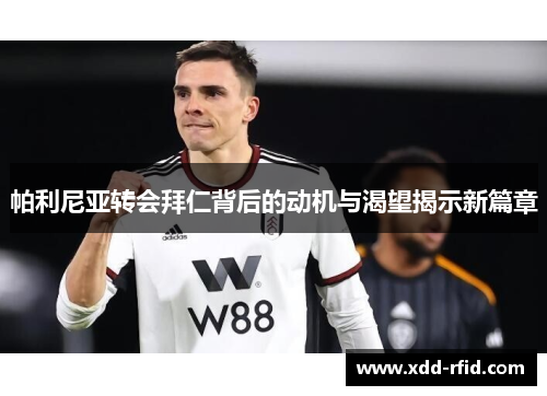 帕利尼亚转会拜仁背后的动机与渴望揭示新篇章